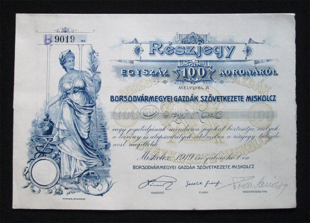 Borsodvármegyei Gazdák Szövetkezete 100 korona 1919 Miskolc